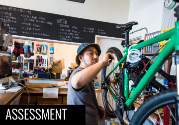 ASSESSMENT